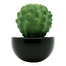 047393446053 Lively Breeze Circle Black Easy Company Ceramic Scenting