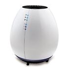 Hap601-u 048894053023 Holmes Egg Air Purifier With Permanent Hepa Type