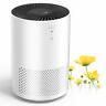 742186851440 Intelabe Hepa Air Purifier Filter With Fragrance Sponge