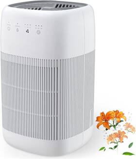 Afloia 313047837899 Air Purifier And Dehumidifier In 1 With Efficient Filter S