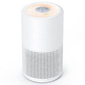 Air Purifiers For Bedroom Fulminare H13 Small Home Pets