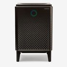Airmega400-gr Coway Airmega Hepa Air Purifier With Quality Monitoring 840023877124