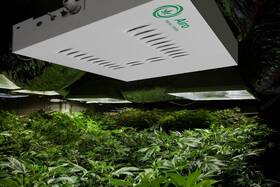 Airo50 Airoclean420 Two Airoclean 420 Airo Home /hobby Grow Air Purifier