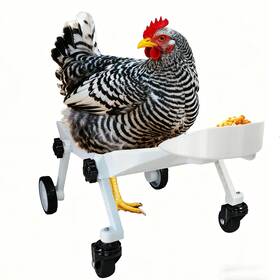B3988 Animoasis Adjustable Small-scale Pet Chicken Wheelchair - Small White