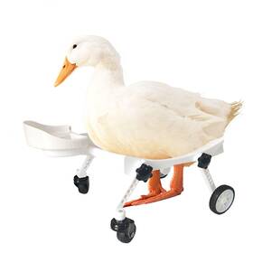 B8519 Animoasis Pet Ducks Wheelchair - Adjustable Mobility Aid For Small White