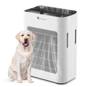 Dr.prepare 840315249424 Air Purifier For Home Large Room Up To 3000 Ft Hepa Doublesided