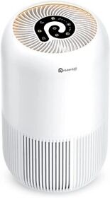 Dreamegg Quiet Air Purifiers For Pets Allergy Dander Odor In Bedroom True