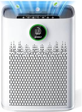 Ecoself 313039791741 Air Purifiers For Home Large Room Cover Up To 2400 Ft With True Hepa Filter S