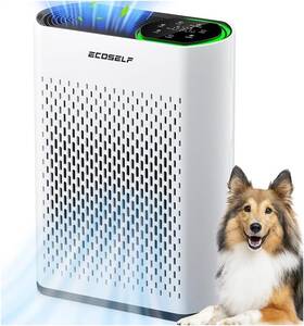 Ecoself 313087662673 Air Purifier For Large Room Cleans 2 400 Ft In 30 Mins 3-stage True Hepa 360