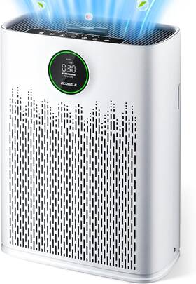 Pm2.5 Ecoself M0374 Air Purifiers For Home Large Room With Smart Mode Quality Display