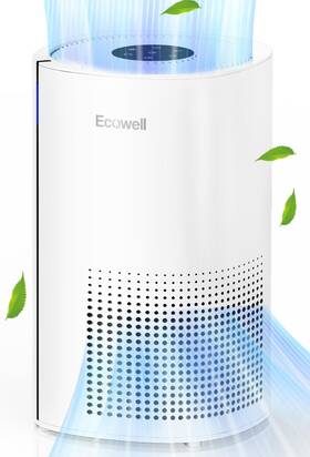 Eap250 Ecowell Air Purifiers For Home Large Room Up To 1615 Ft H13 True Hepa 3-i