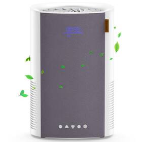 Uszeap050-usa Ecowell Air Purifiers For Bedroom Home Hepa H13 Filter Large