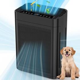 Hd-ap01-b Edendirect 3000 Sq. Ft. Black Hepa Personal Room Air Purifier With Smart Controls