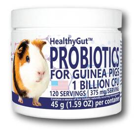 Gpp120 Equa Holistics Healthygut Probiotics For Guinea Pigs Dietary 120 Servings