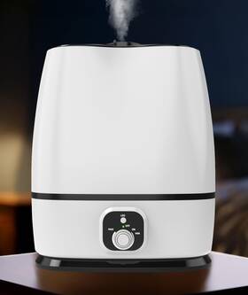 Everlasting Comfort 810062780426 6l Humidifier Large Room High Mist Output B. White