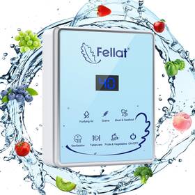 0g1924-l4 Fellat Ozone Generator Multipurpose Ozonator With Negative Ion And Timer For Cleani