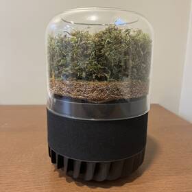 Filter 625914052988 Briiv 2 Natural Air Purifier - Yorkshire Moss