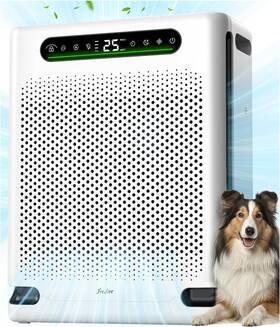 Freaire 711181486995 Air Purifiers For Home Large Room Up To 2600 Ft Hepa Purifier With