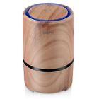 2103 Gl Wsta Air Purifier With True Hepa Filter Portable Odor
