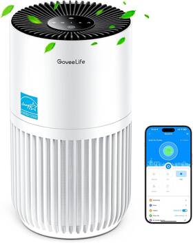 H7126 Goveelife Mini Air Purifier For Bedroom Hepa Smart Filter With App
