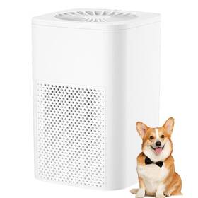 1589 Haiegacr 721545234513 Air Purifier For Home Pets Hair In Bedroom Covers Up To Ft By 5w Hig