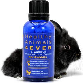 Healthyanimals4ever 445000385376 Healthy Animals 4ever - All-natural Rabbit E. Cuniculi Infection Treatment Hom