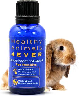 Healthyanimals4ever 445014294220 Healthy Animals 4ever All-natural Rabbit Gastrointestinal Stasis Treatment Eff