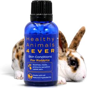 Healthyanimals4ever 711181339628 Healthy Animals 4ever All-natural Rabbit Skin Conditions Treatment Homeopathic