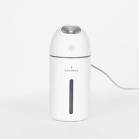 90177 Hey Dewy Portable Facial Hydrating Cool Mist Humidifier Usb Pearl White