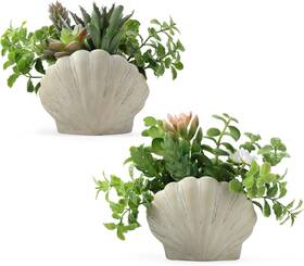 Idylis 744759376435 Fake Plants Set Of 2 Assorted Faux Succulents Artificial With Sea Shell