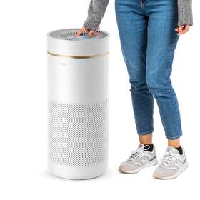 594957 Iris Usa Woozoo True Hepa Air Purifier H13 Filter Removes 99.97% Of Particles Po