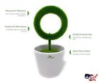 Jo-732 Pure Plant Air Purifier Ionizer For Allergens Odor 726152902725