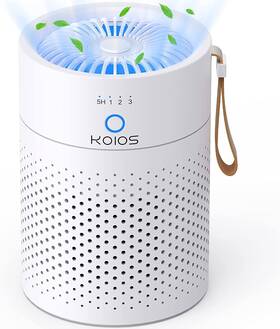 Haap1170 Koios Home Air Purifiers H13 True Hepa Cleaner For Desk Dust Odor Pet Smoke Small