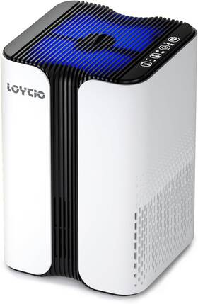 Loytio 445015393304 Air Purifiers For Home Hepa Purifier Covers Up To 400 Sq.ft Room 24db