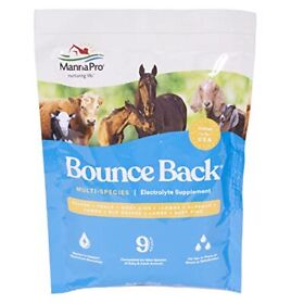 1000352 Manna Pro Bounce Back Multi-species Electrolyte Supplement