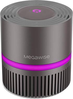 Megawise 705353421358 H13 Hepa Air Purifier For Home Desktop Cleaner With True