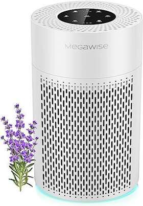 Megawise 734257501354 Large Hepa H13 0.3micron Air Purifier Activated Charcoal In Filter Odor Removal