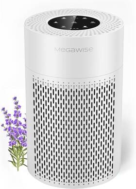 Megawise 734257501927 Air Purifier For Home And Pets Hair Smokers In Bedroom Large Room