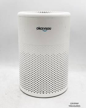 210-0060-01 Okaysou Pega 100 3-in-1 Air Purifier