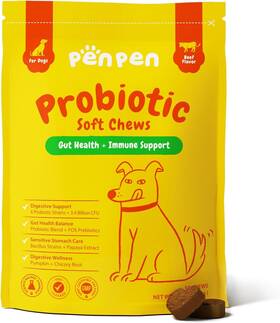 Php1001 Penpen Probiotics For Dogs Digestive 50 Chews Orange