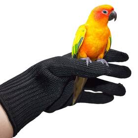 120763am16us87r Petyoung 1620597/120763am16us87r Bird Training Anti-bite Gloves Small Animals Handling Chew Inch