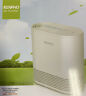 Rpap001 Renpho Air Purifier Home Smokers Allergies True Hepa Filter Rp