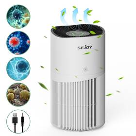 Kqj-0402-whi-us Sejoy Home True Hepa Air Purifier Large Room Cleaner Allergies Smoker Pet Dust Usa