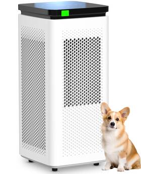 Siesean 754297116769 Air Purifiers For Home Large Room Bedroom Kitchen Up To 2000 Ft With Dual-