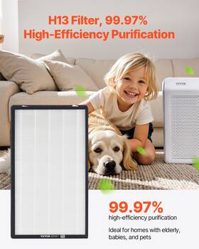 Vevor 197988836858 2-in-1 Air Purifier Replacement Filter H13 With Non-woven Fabric