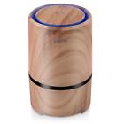 W050s Wsta Air Purifier With True Hepa Filter Portable Odor Allergies