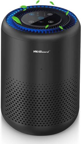 Ap-k300 Weguard K300 Air Purifiers For Home Large Room H13 True Hepa Filter Cleaner