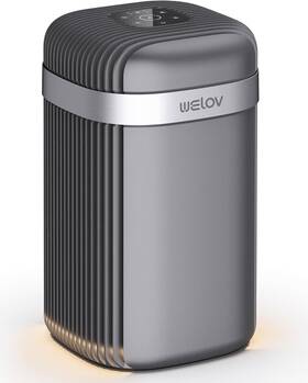 P100g Welov H13 Hepa Air Purifier Quiet 23db Odor Eliminator For Pet Hair And Allergens
