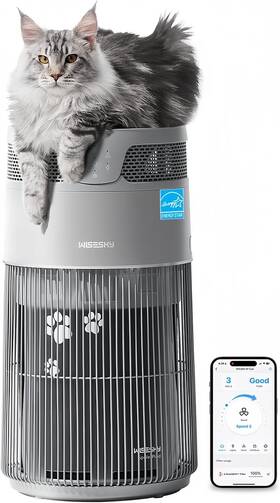 Ws360-grey Wisesky Pet Air Purifier For Cat Owners High-efficiency Hair Dander 1644sqft