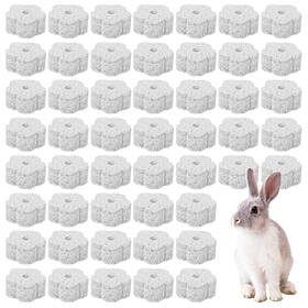 742407 Xozeooeu 50 Pcs Small Animal Lava Bites Mineral Calcium Chew T Blocks White
